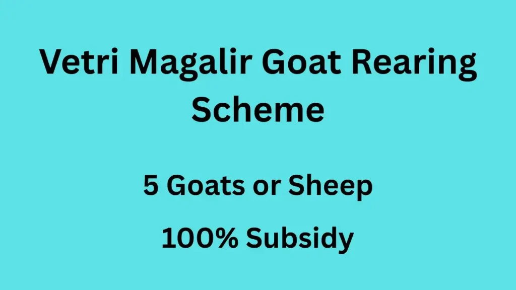 Vetri Magalir Goat Rearing Scheme